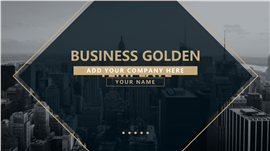 低调金商业计划PPT模板