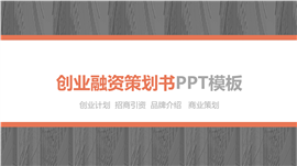 品牌介绍创业融资策划书PPT模板