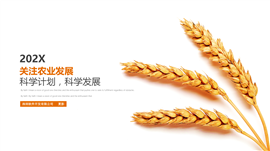 科学计划农业发展PPT模板