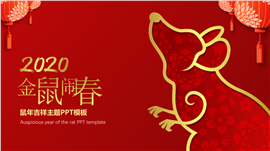 中国年项目策划书PPT模板