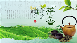 品味绿色茶文化生态绿茶PPT模板