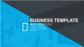 简约欧美风总结计划商务演示PPT模板