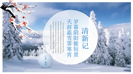 清新风计划总结工作汇报PPT模板