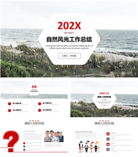 202X自然风光工作总结PPT模板