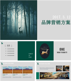 企业品牌营销方案计划书PPT模板
