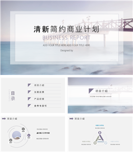 轻奢简约风商业计划书PPT模板