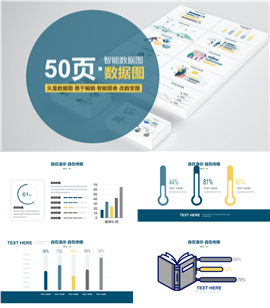 50页数据智能PPT图表