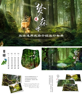 梦幻森林旅游线路景点相册PPT模板