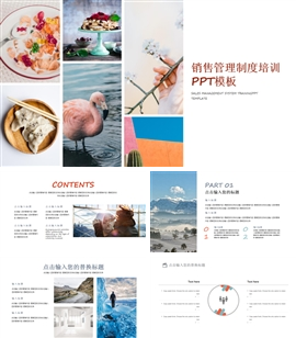 销售管理制度培训ppt模板