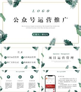 ins风公众号运营推广方案ppt模板