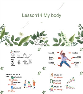 小学英语冀教版三年级上册《lesson14 my body》PPT课件