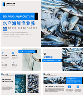 水产海鲜渔业养殖海产品PPT模板