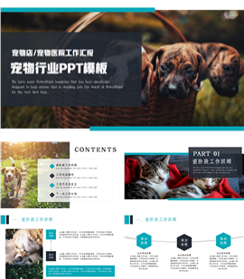 简约风宠物行业宠物医院工作汇报ppt模板