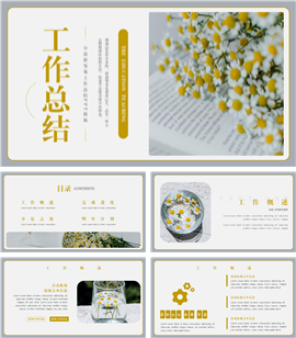 小清新邹菊工作总结ppt模板