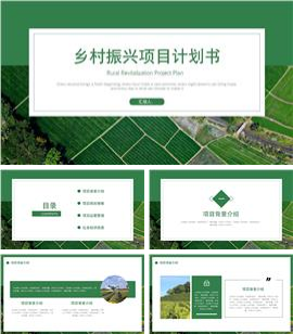 绿色乡村振兴项目计划书ppt模板
