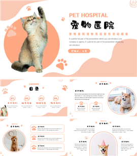 宠物医院宠物用品宣传活动PPT模板
