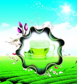 清新绿茶PSD素材免费下载
