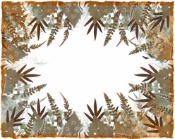 复古植物装饰边框PSD素材