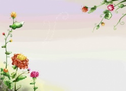 植物花卉装饰背景图