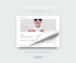 Web项目展示样机