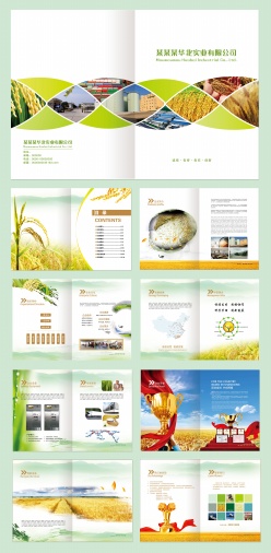 粮食农业画册模板设计