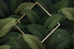 创意植物装饰边框素材PSD