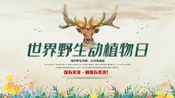 世界野生动植物日宣传海报设计