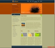 Joomla rasper模板