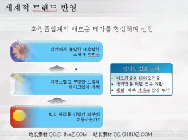 韩国公司PPT模板