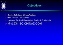 项目报告PPT模板下载