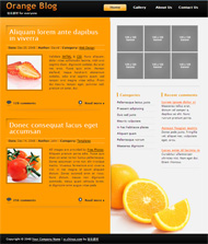 橙色的博客CSS网页模板