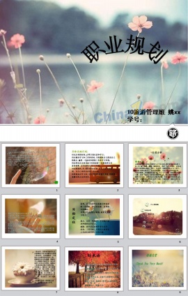 旅游管理ppt模板下载