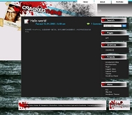 Wordpress cracked模板