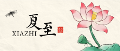 夏至二十四节气公众号封面