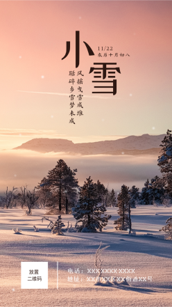 小雪二十四节气实景手机海报