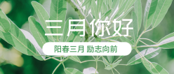 三月你好公众号封面