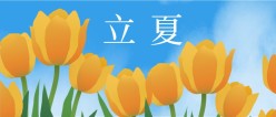 郁金香立夏公众号封面