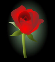 SVG绘制玫瑰花盛开动画特效