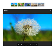 jQuery点击缩略图弹窗查看大图代码