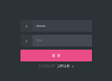 CSS3带图标和占位符的登录表单