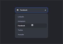 HTML5下拉框图标跟随改变特效