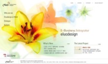 eluodesign.com