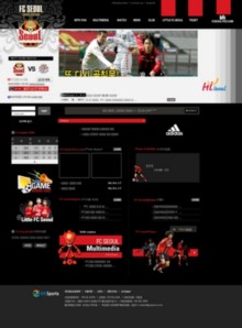 fcseoul.com