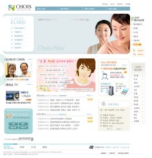 skinchois.co.kr