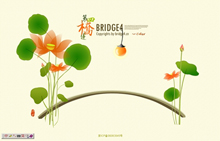 bridge4.cn
