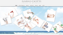 dariociotti.it