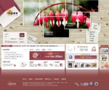 zzixx.com