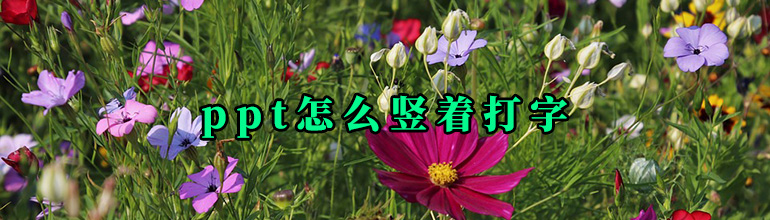 ppt怎么竖着打字