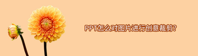 PPT怎么对图片进行创意裁剪？