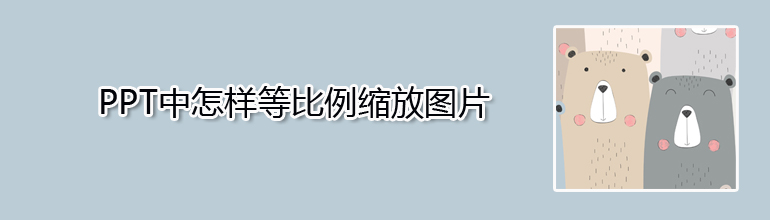 PPT中怎样等比例缩放图片